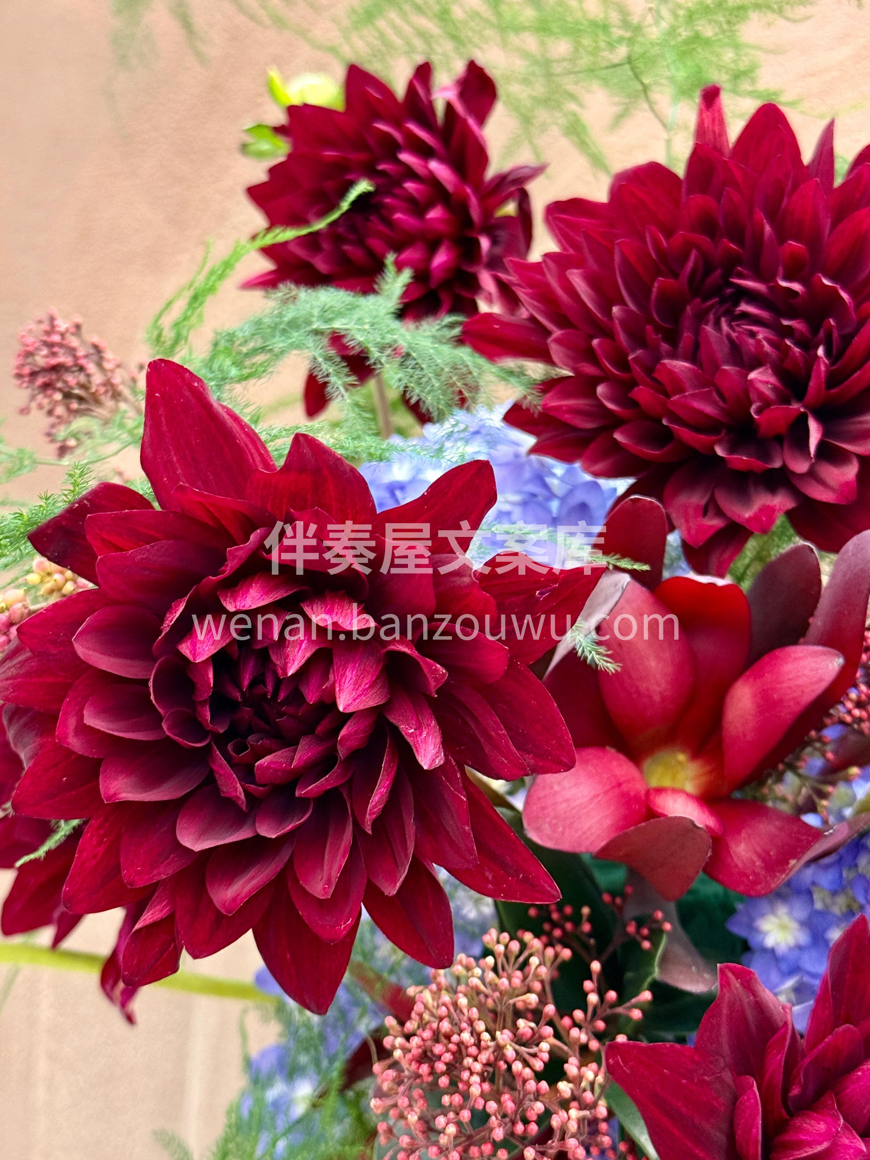 热烈❤又浪漫的红色 是跳跃的生命力🌿 是无限的可能性💪 配图2
