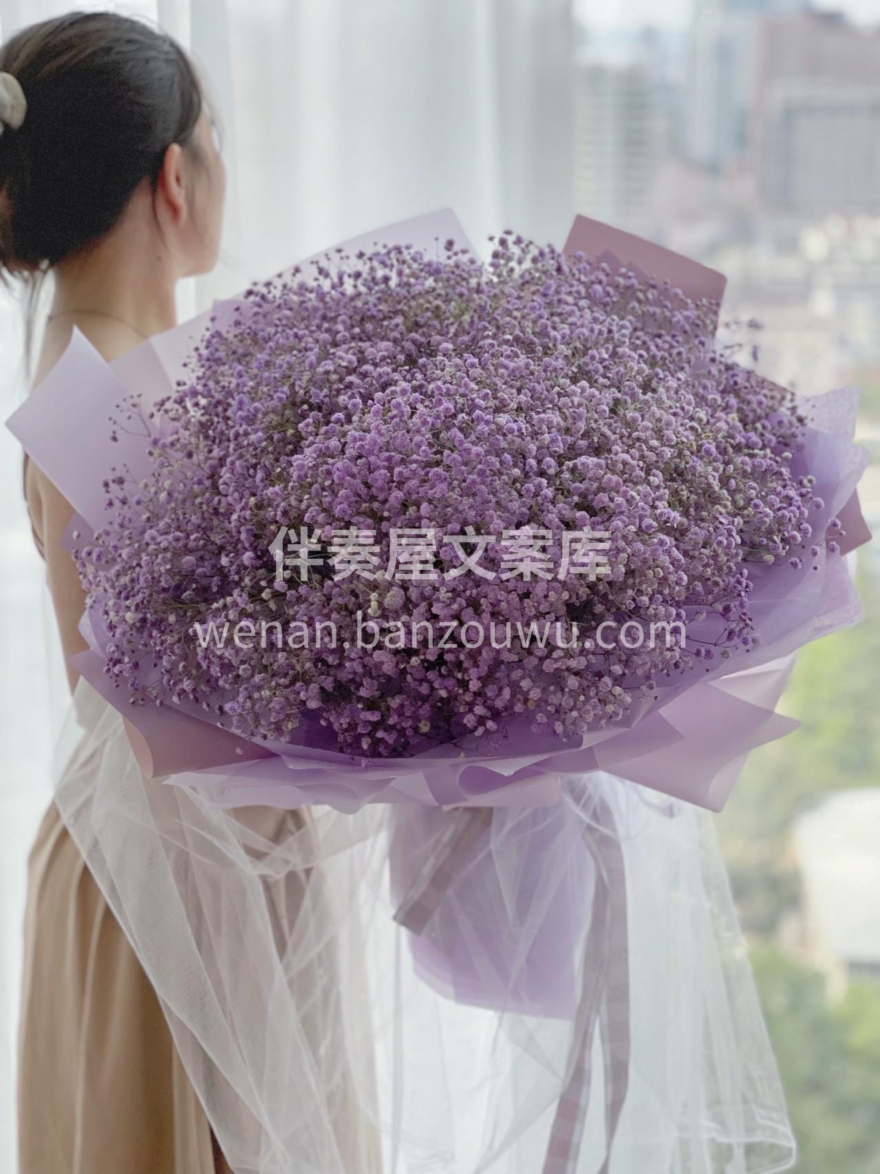 大束满天星花束预定 满天星作为独立的个体 配图3