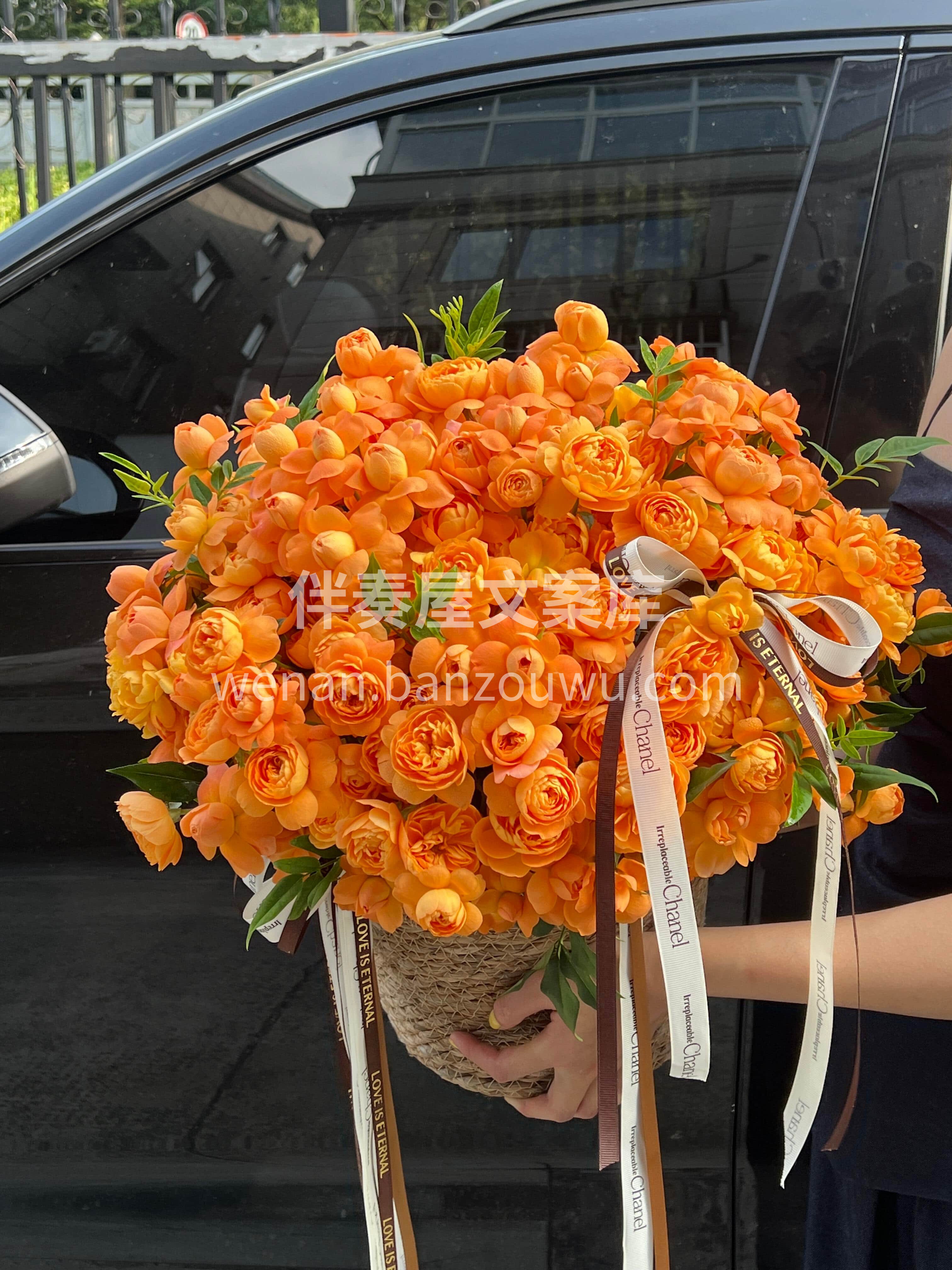 把阳光装进抱抱桶里☀️ 果汁阳台的灿烂🧡 是能治愈一切不开心 配图3