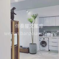 ✨超好看的客厅绿植推荐✨ 热带观叶植物— 配图1