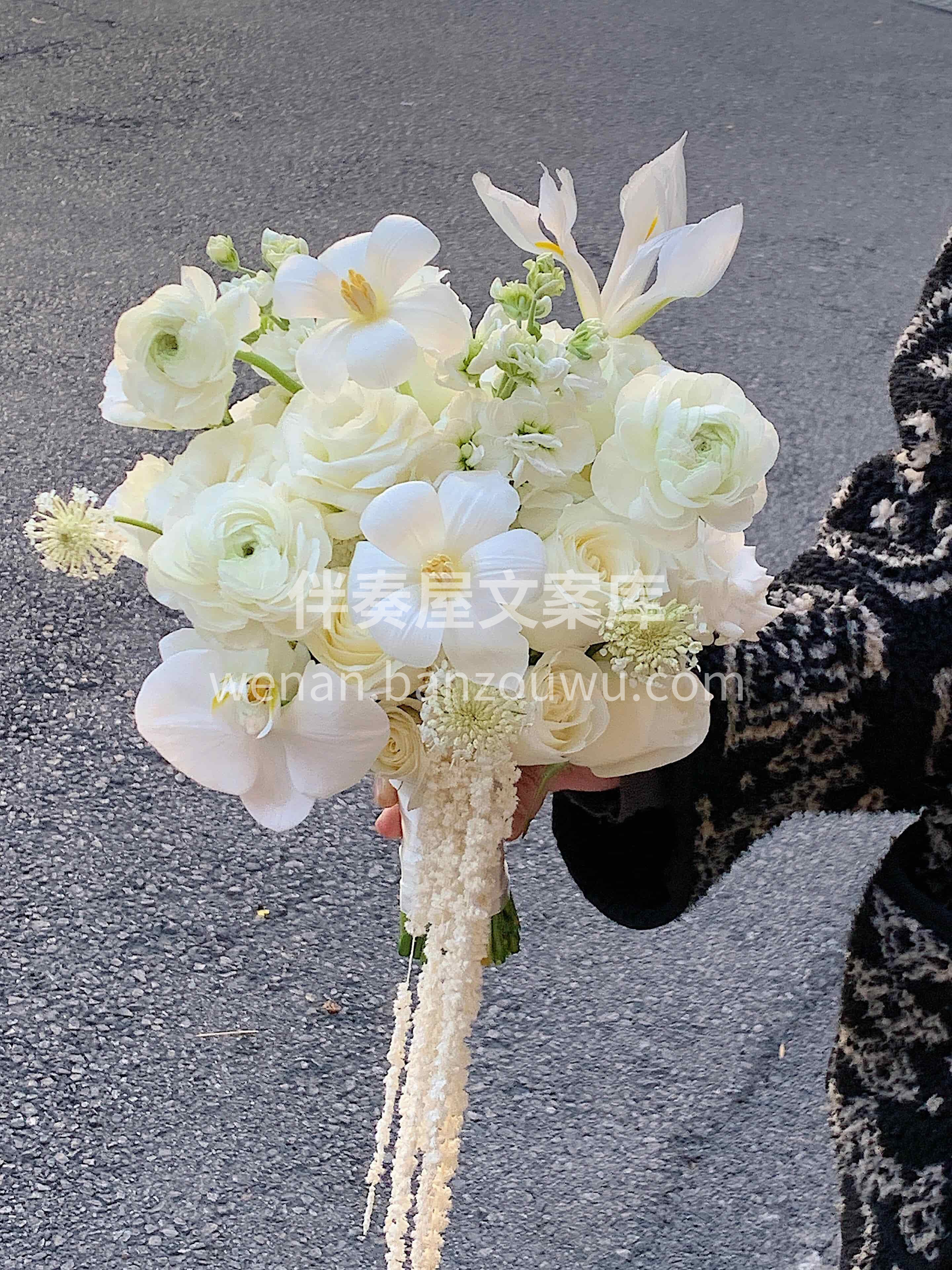 简约白色系手捧花🌸 像冬日的第一场雪❄️ 干净又治愈🫧浪漫至 配图1