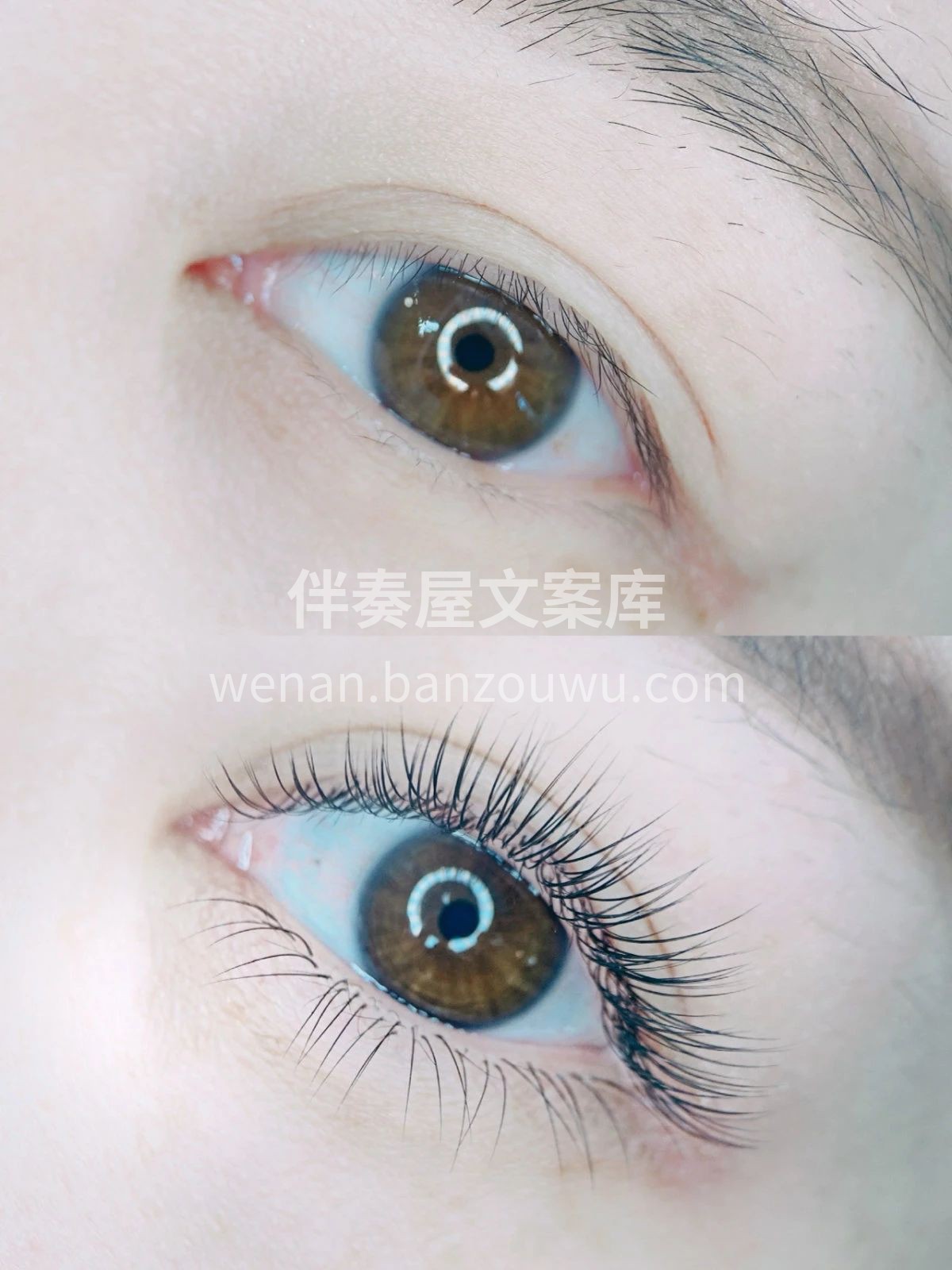 自然干净清爽的美睫 轻羽缀毛尖点亮双眸 