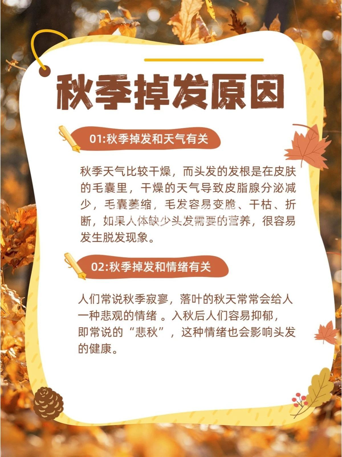 秋季掉发原因 1:秋季掉发和天气有关 2