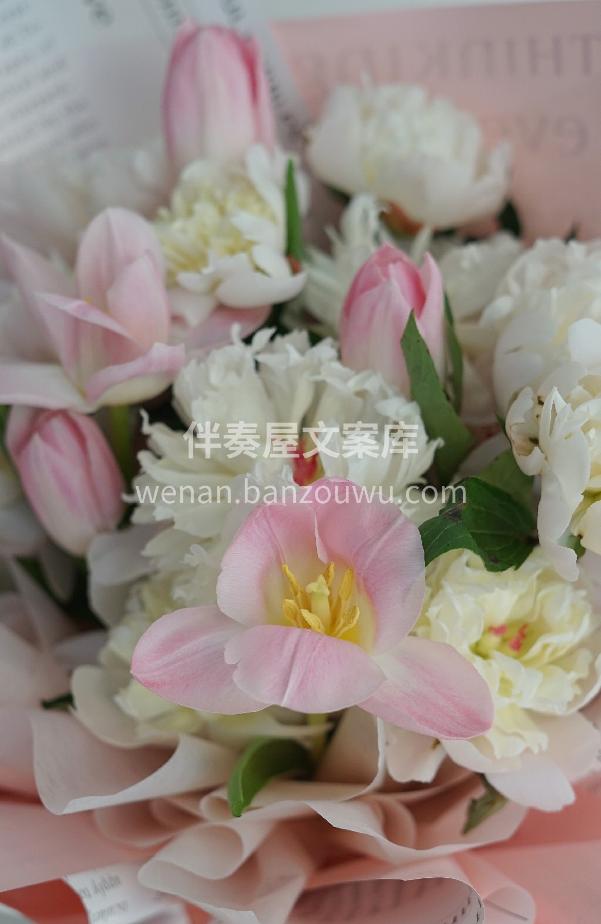 客订芍药郁金香花束 粉色郁金香搭配白色芍 配图1