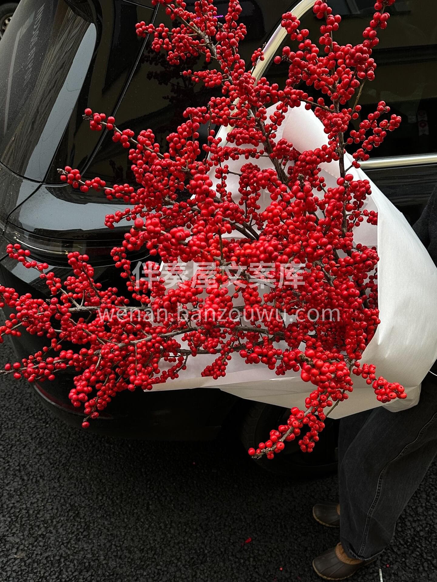 冬青映春🫧红果纳福❤️ 一束年宵花🌹揽尽新年的红火与安康✨ 配图1