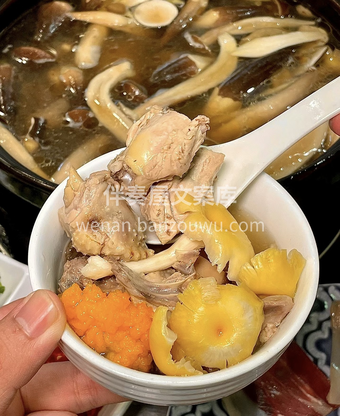 菌子火锅，是一场舌尖上的奇幻之旅。各种鲜 配图3