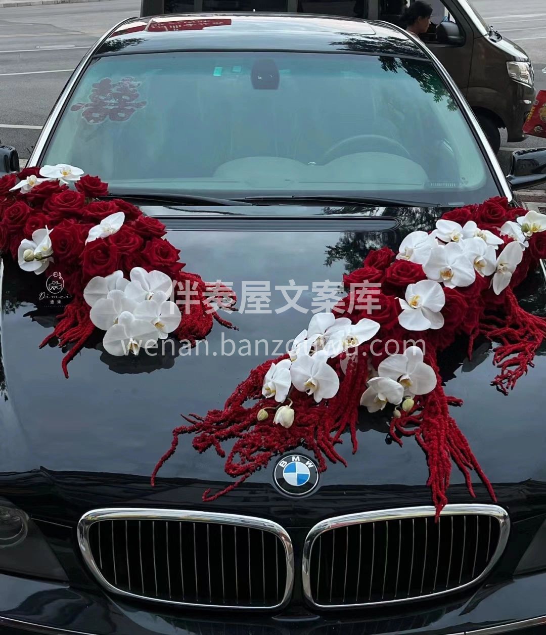 红玫瑰🌹 蝴蝶兰的🌸结合 永恒与经典👰🤵 配图1