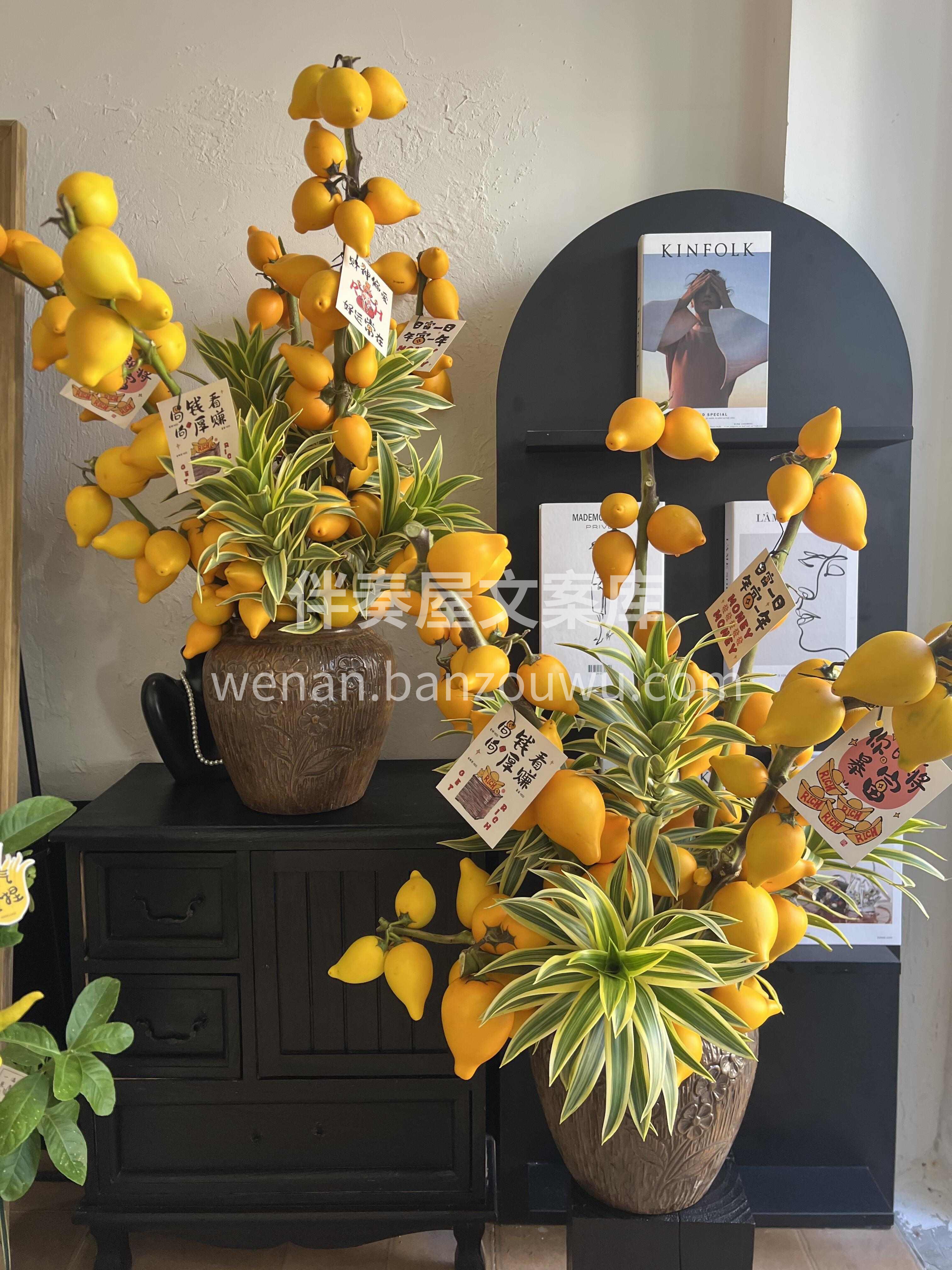瓶插五代果🍋寓意五代同堂✨ 平安吉祥伴四季🍀耐看又招财✨ 配图1