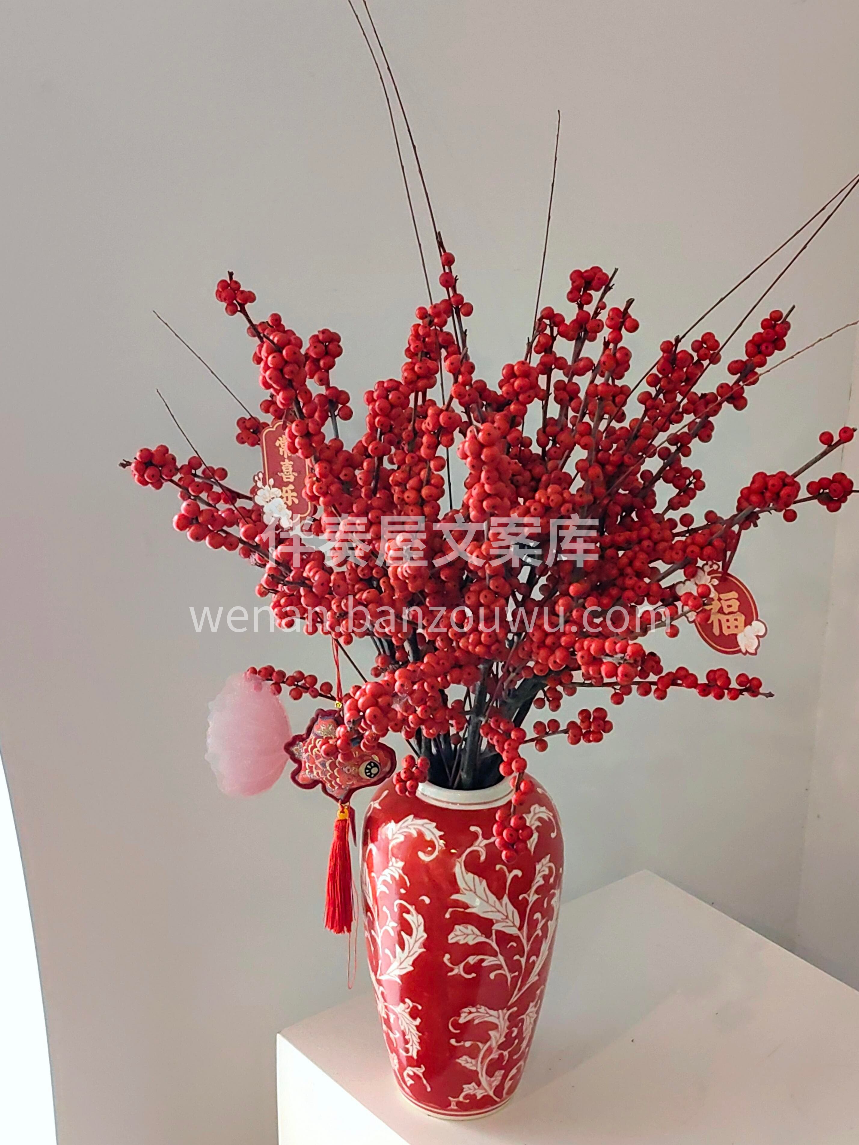 冬青纳福❤️红果迎春[福] 红瓶盛着好彩头[庆祝] 新年的氛 配图1