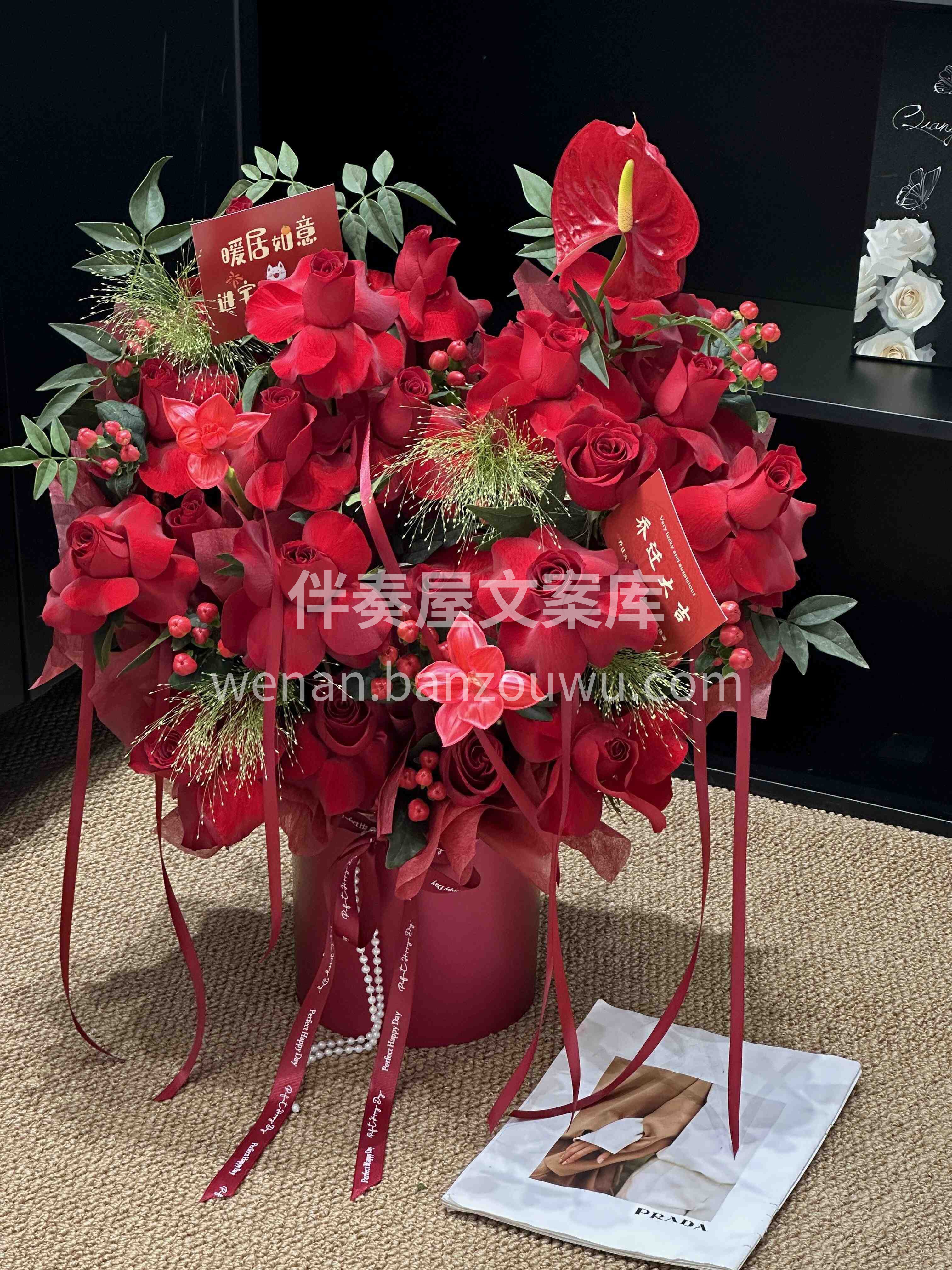 抱一桶红火🎉赴一场新居 愿往后三餐四季🎑 温暖顺遂 喜乐常伴 配图2