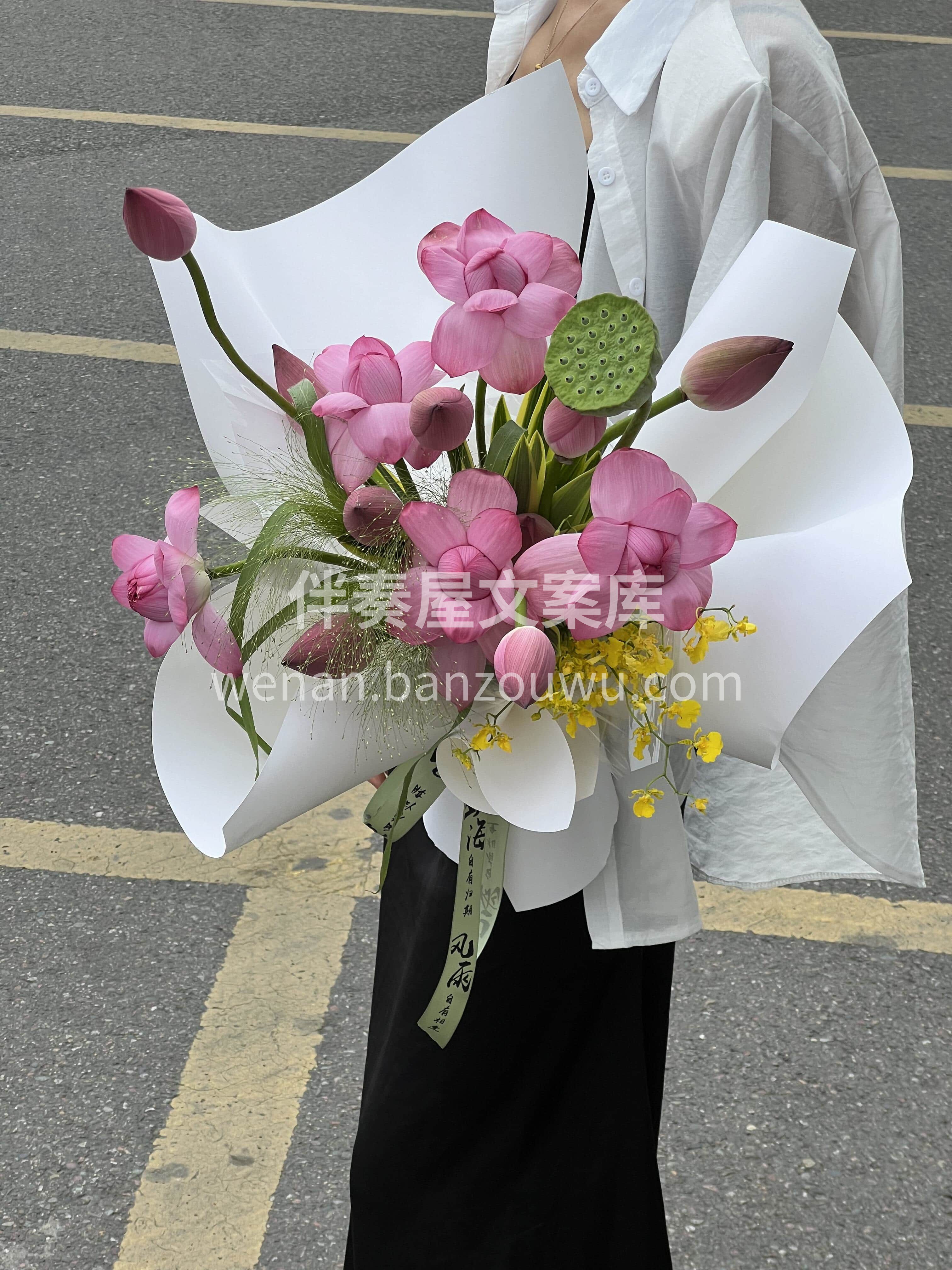 以荷为礼 步步生莲🌷 愿这束清雅荷花 捎去好运与安康🌼 愿你 配图3