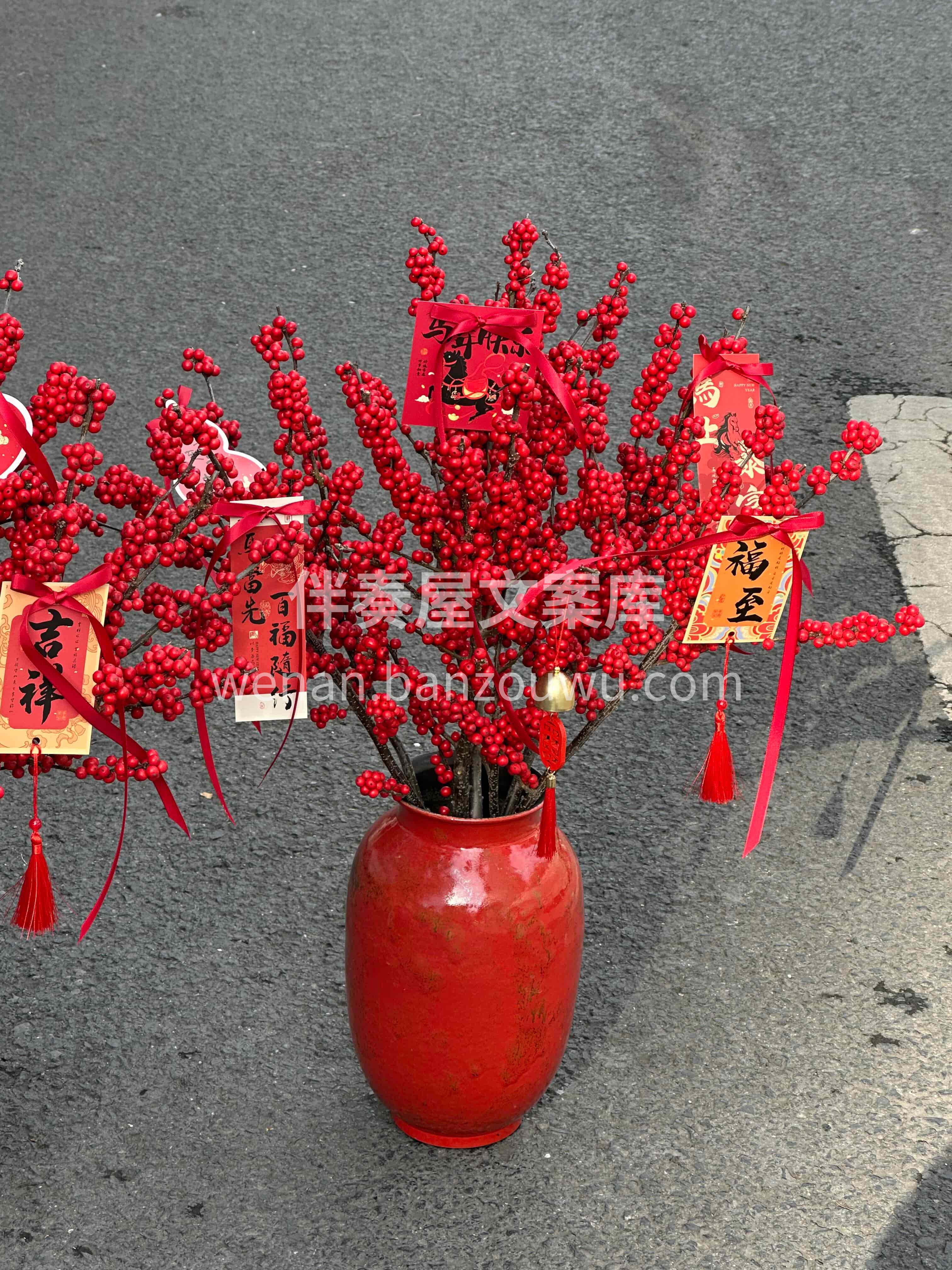 元宵安康[福]冬青添喜 一盏红灯🔥一瓶红果🔴 愿日子红红火火 配图2