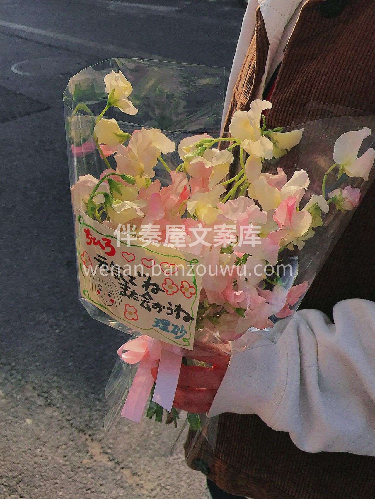 《千与千寻》同款豌豆花束 前段时间超火的 配图1
