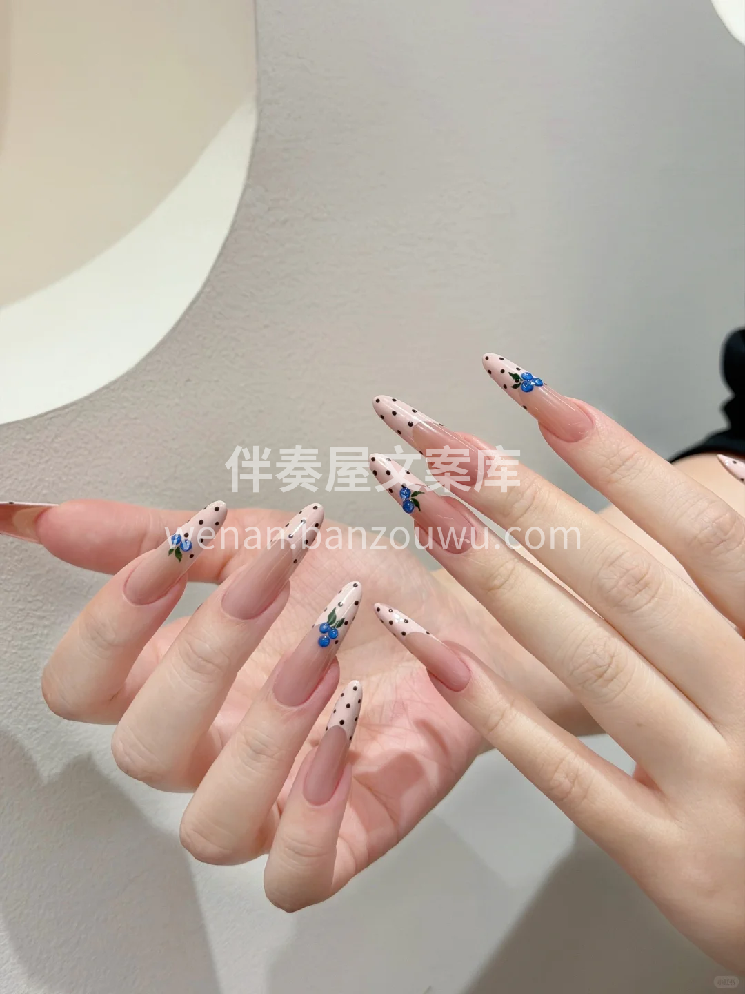 蓝莓味的法式波点🫐