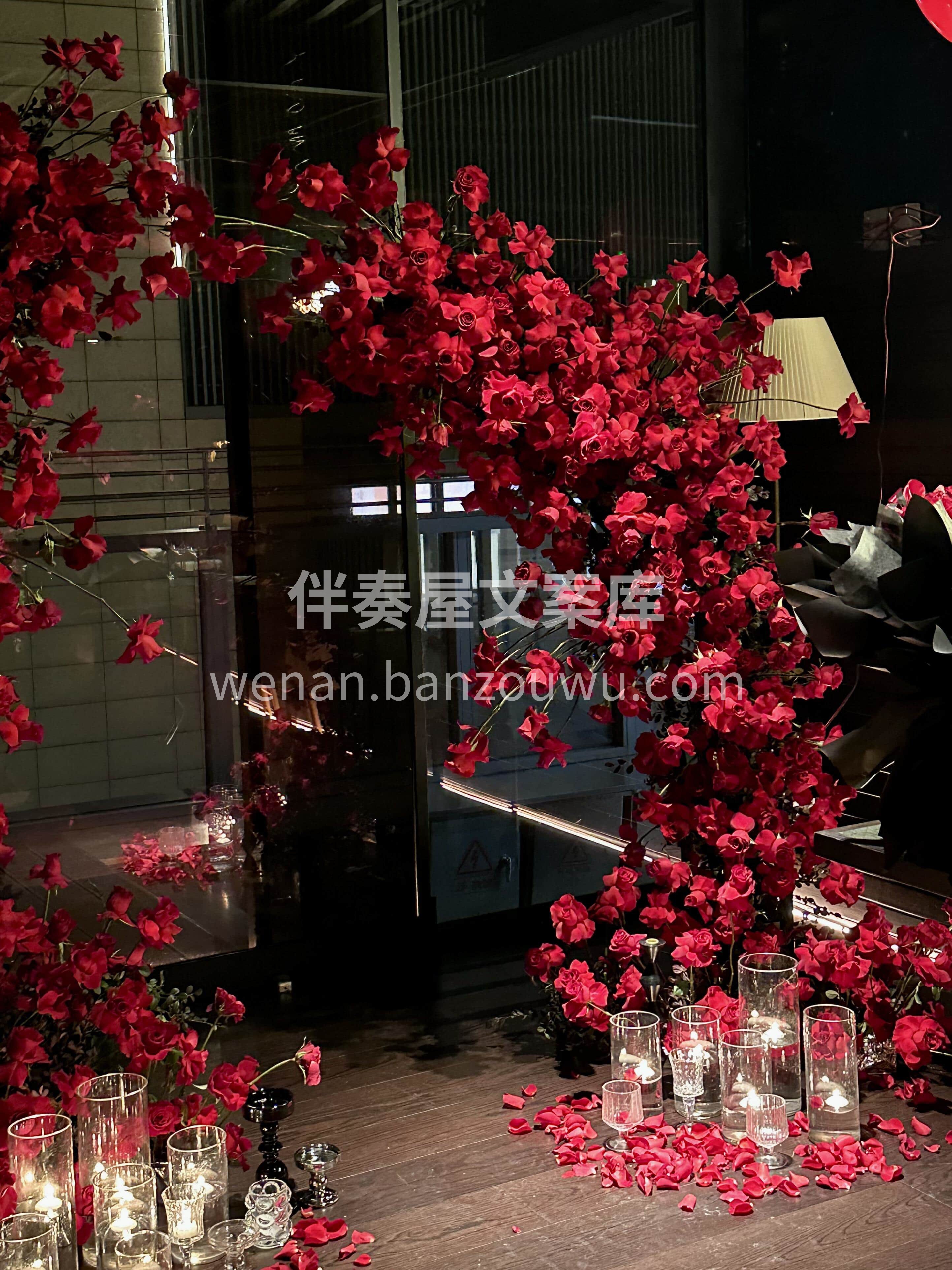 红色求婚💍布置太高级啦 复古红的高原红玫瑰❤️ 丝绒般的质感 配图6