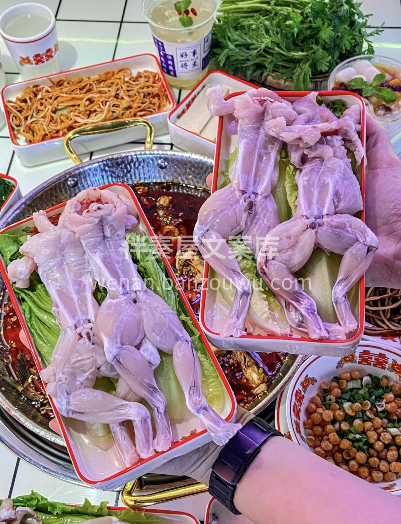 肥美的田鸡在锅中煮出诱人鲜味，麻辣鲜香刺 配图3