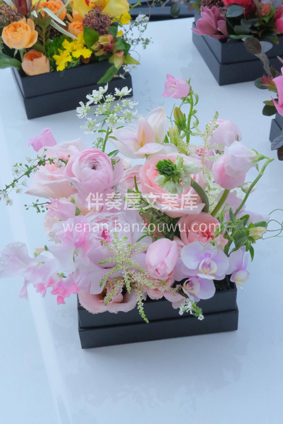 👀迷你精致的小花盒 像一座座小花园🌸✨ 每一个都长在了我的审 配图5